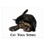 Cat Yoga Stinks Post Cards