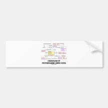 Catabolism Of Proteinogenic Amino Acids Bumper Stickers