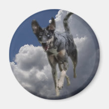 Catahoula Dog Running in Fluffy White Clouds Magnet