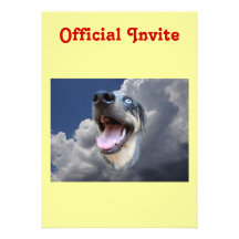 Catahoula Leopard Dog Fluffy Clouds Closeup Personalized Invitation