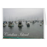 Catalina Island 4 Card