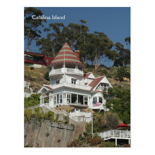 Catalina Island, California Postcard
