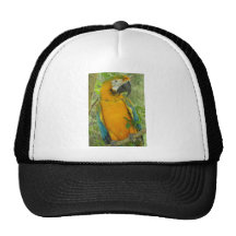 Catalina Macaw Mesh Hat