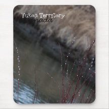 CATC Catkins at the Creek Mousepads