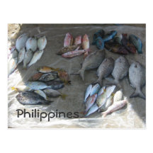 Catch of the day post cards