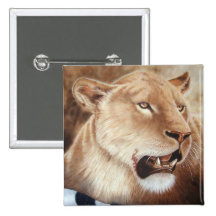 Catching her breath - Lioness Pinback Buttons