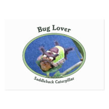 Caterpillar Bug Lover Business Cards