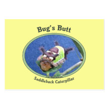 Caterpillar Bug's Butt Business Card Template
