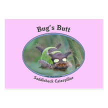 Caterpillar Bug's Butt Business Cards