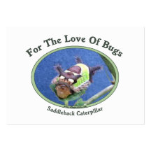 Caterpillar The Love Of Bugs Business Card Template