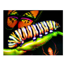 Caterpillar with Butterfly and Spider Art Post Cards