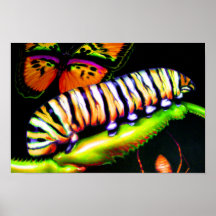 Caterpillar with Butterfly and Spider Art Posters