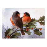 Catherine Klein: Robins on Holly Business Card Template