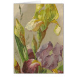 Catherine Klein Vintage Greeting Card Reproduction