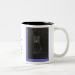 Catness 2 - cricketdiane art cat coffee mug