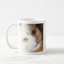 Cats - Cuddly to Vicious mug