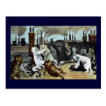 Cats Duke It Out on a Rooftop Postcards