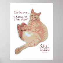 Cats for Nursing Students - I has Stress Print