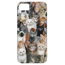 Cats iPhone 5 Case