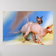 CATS PRINT
