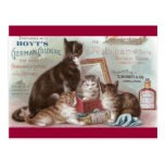 Cats Selling Cologne Victorian Trade Card Postcards