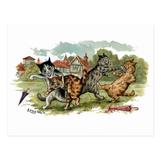 Cats Trade Punches Post Card
