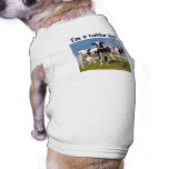 Cattle Dog T-Shirt