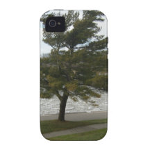 Caught in the Wind Vibe iPhone 4 Case