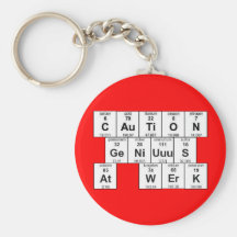 CAuTiON GeNiUuuS At WErK Keychain