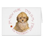 Cavachon Puppy First Christmas Card