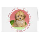Cavachon Puppy First Christmas Greeting Cards