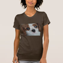 Cavalier King Charles puppy t shirt tee t-shirts