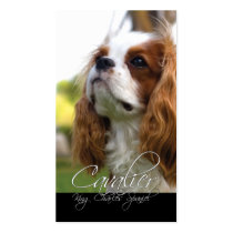Cavalier King Charles Spaniel Business Cards business cards