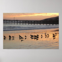 Cayucos Sunset poster