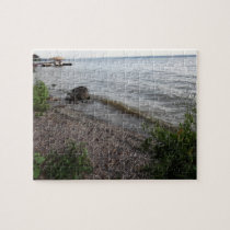 Cayuga Lake Rocky Beach puzzles
