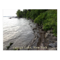 Cayuga Lake Rocky Beach postcards