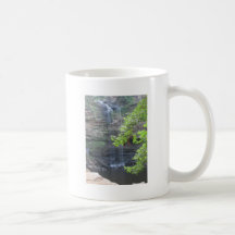 Cedar Falls Water Fall Mug