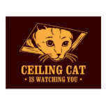 Ceiling Cat is Watching You Post Cards
