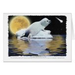 CELESTIAL CHILD HARP SEAL Card