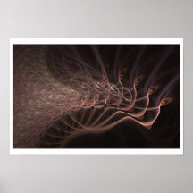 Celos Print