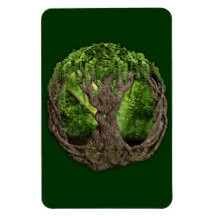 Celtic Tree Of Life Magnets