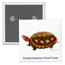 Central American Wood Turtle Pin