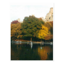 Central Park Boat Pond in Autumn Post Cards