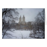 Central Park in Winter, Through the Trees Greeting Card