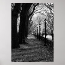 Central Park, New York City Poster