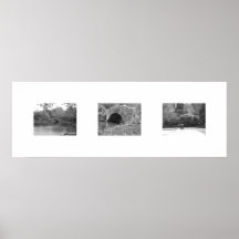 Central Park Print