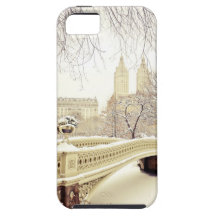 Central Park Snow - Winter New York