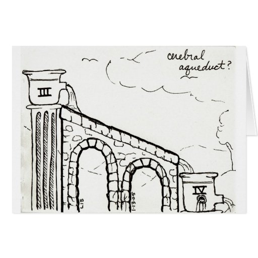 Cerebral Aqueduct card