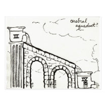 Cerebral Aqueduct postcard postcards