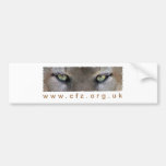 CFZ Big Cat Study Group Eyes Bumper Stickers